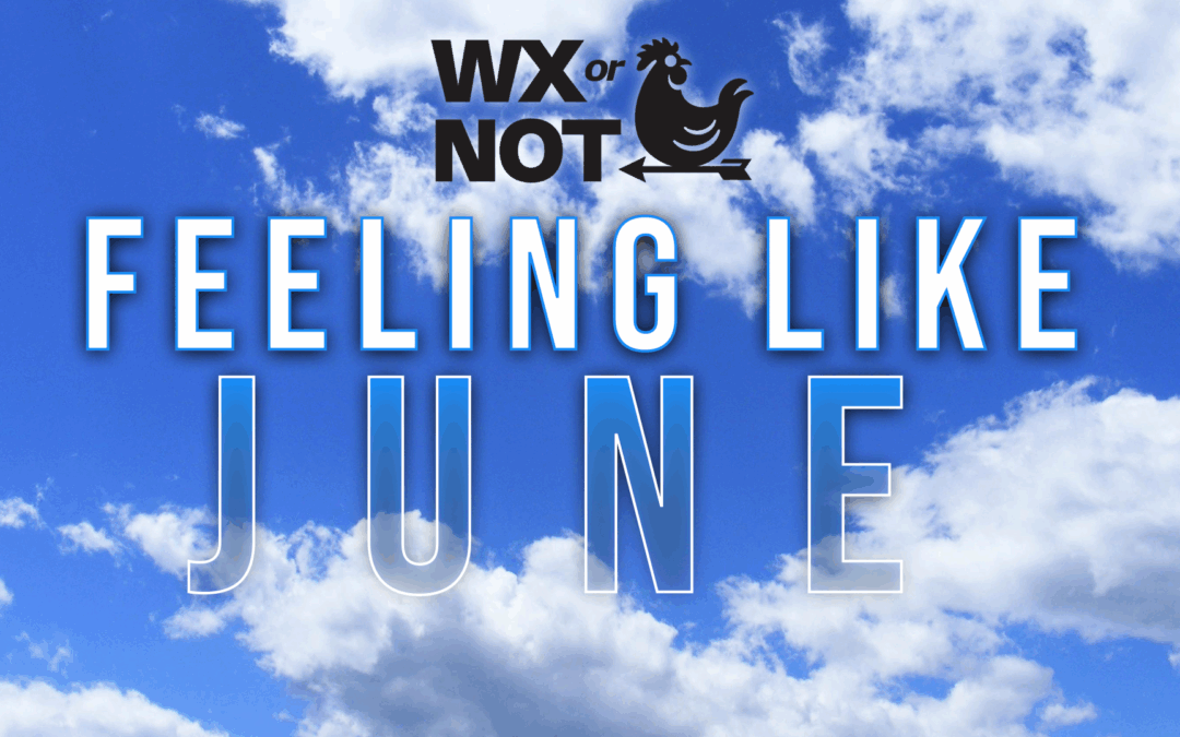 WABBLES Weekend: Feeling Like June